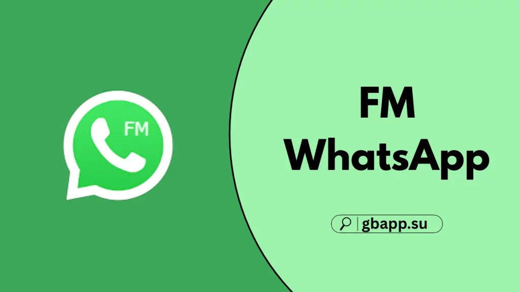 full detail about FM whatsApp